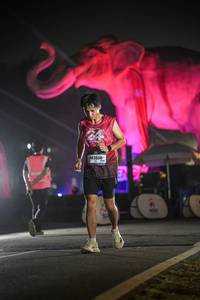 BIB: 
                            <button type="button" onclick="openModal(26531095)" class="btn btn-primary btn-sm float-right btn-popup" data-toggle="modal" data-target=".modal-high-quality">
                        <i class="fas fa-shopping-cart"></i> Add to Cart
                    </button>
                                            <button type="button" onclick="isThisMe(26531095, true)" class="btn btn-success btn-sm float-right btn-popup btn-isme hidden" data-toggle="tooltip" data-placement="bottom" title="นี่คือรูปของคุณใช่ไหม คลิกที่นี่เพื่อเอาเข้าอัลบั้ม">
                        <i class="fas fa-plus"></i> Add to album
                    </button>
                    <button type="button" onclick="isThisMe(26531095, false)" class="btn btn-warning btn-sm float-right btn-popup btn-isnotme hidden">
                        <i class="fas fa-ban"></i> Remove from album
                    </button>